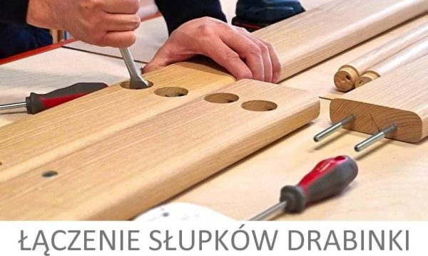 Rebrina na cvičenie Trochilinae – Obrázok 5