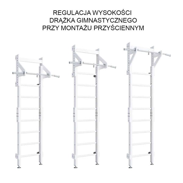 Rebrina na cvičenie Eco 1 – Obrázok 10