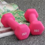 Hantľa 1 kg X-Sport – Obrázok 2