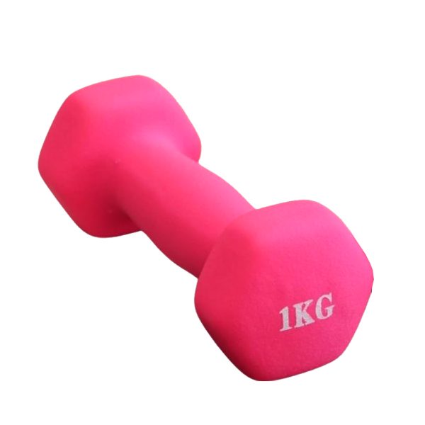 Hantľa 1 kg X-Sport – Obrázok 1