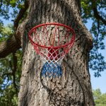 Basketbalový kôš Best – Obrázok 4