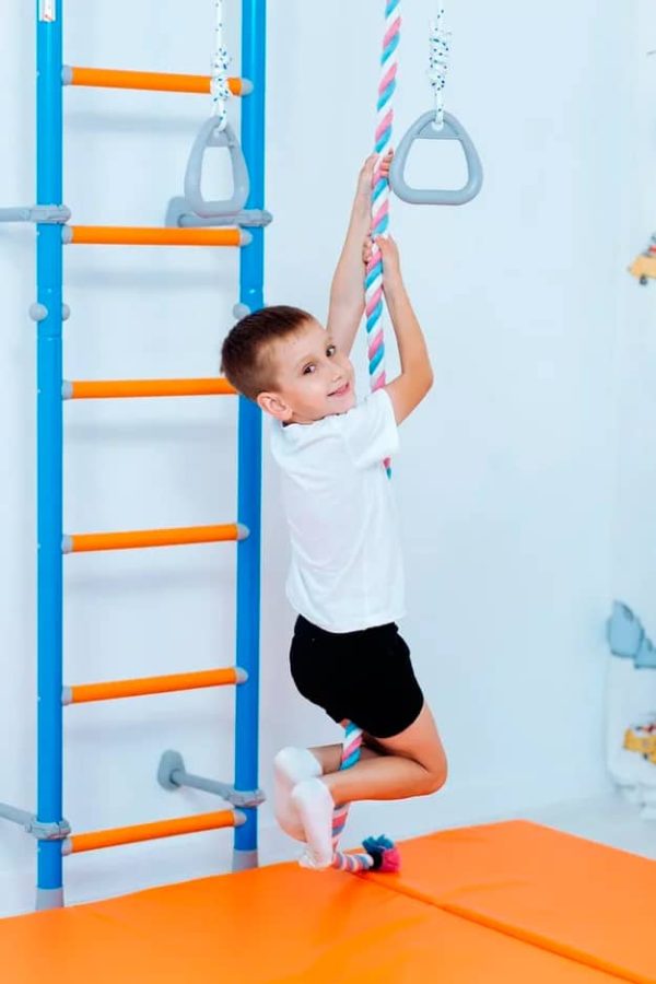 Rebrina na cvičenie Wallbarz Family – Obrázok 24