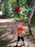 Zipline – Obrázok 5